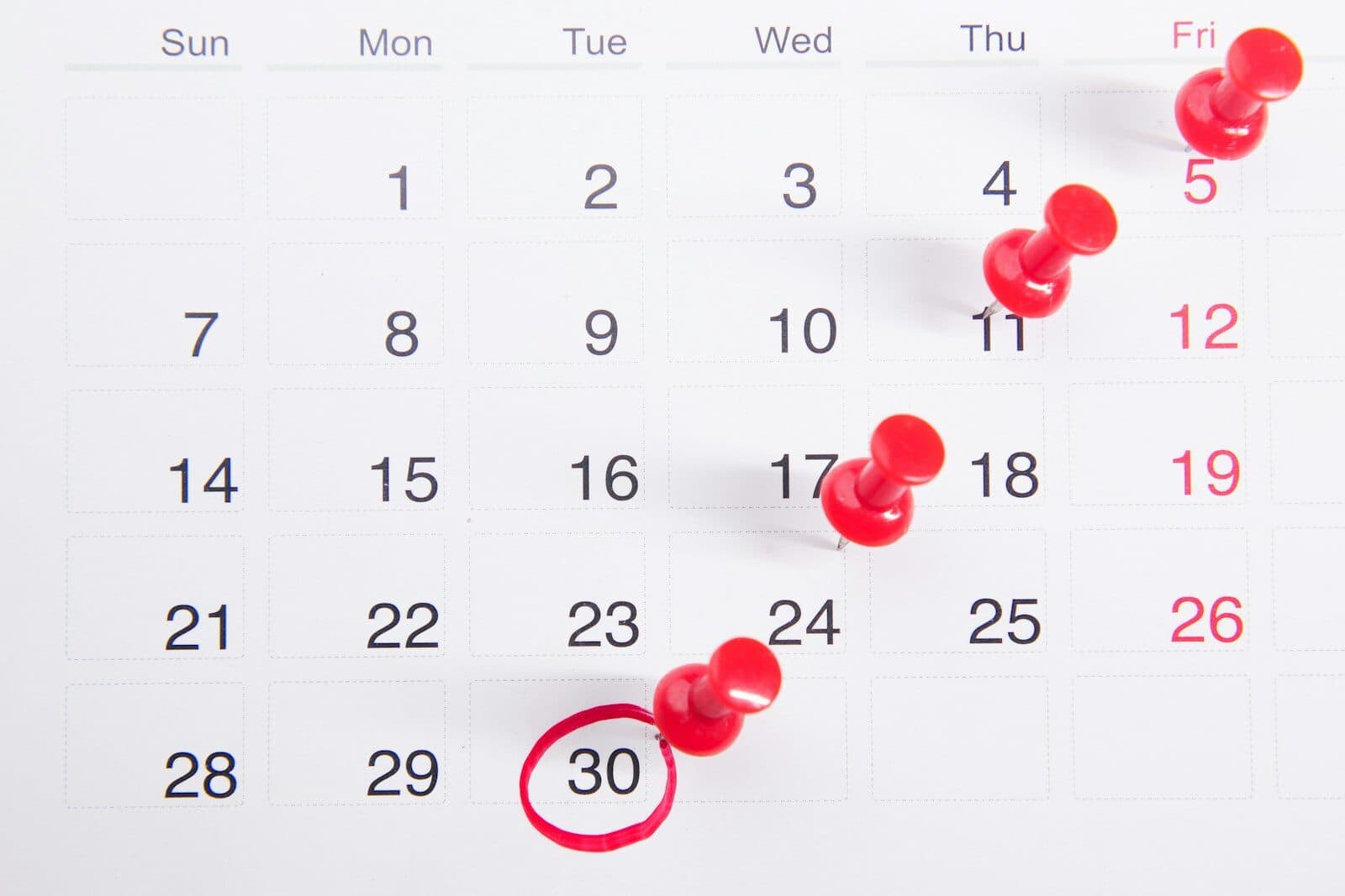 A wall calendar with red pins marking appointment days